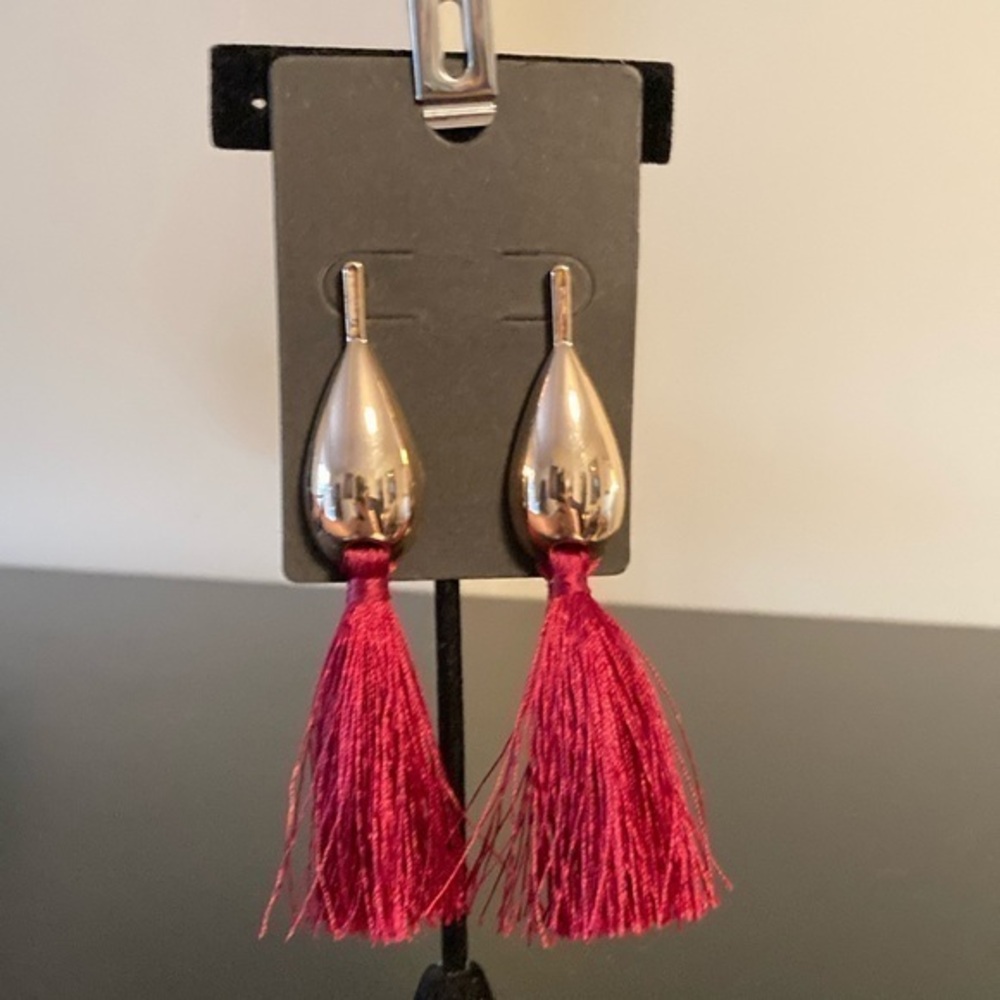 Elegant Silver and Red Tassel Earrings